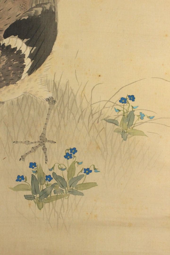 No5609掛軸　石川景雲　雉図　絹本着色　日本画　花鳥　古画　古美術　送料無料