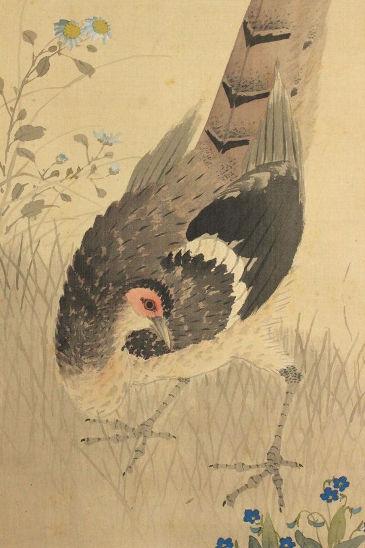 No5609掛軸　石川景雲　雉図　絹本着色　日本画　花鳥　古画　古美術　送料無料