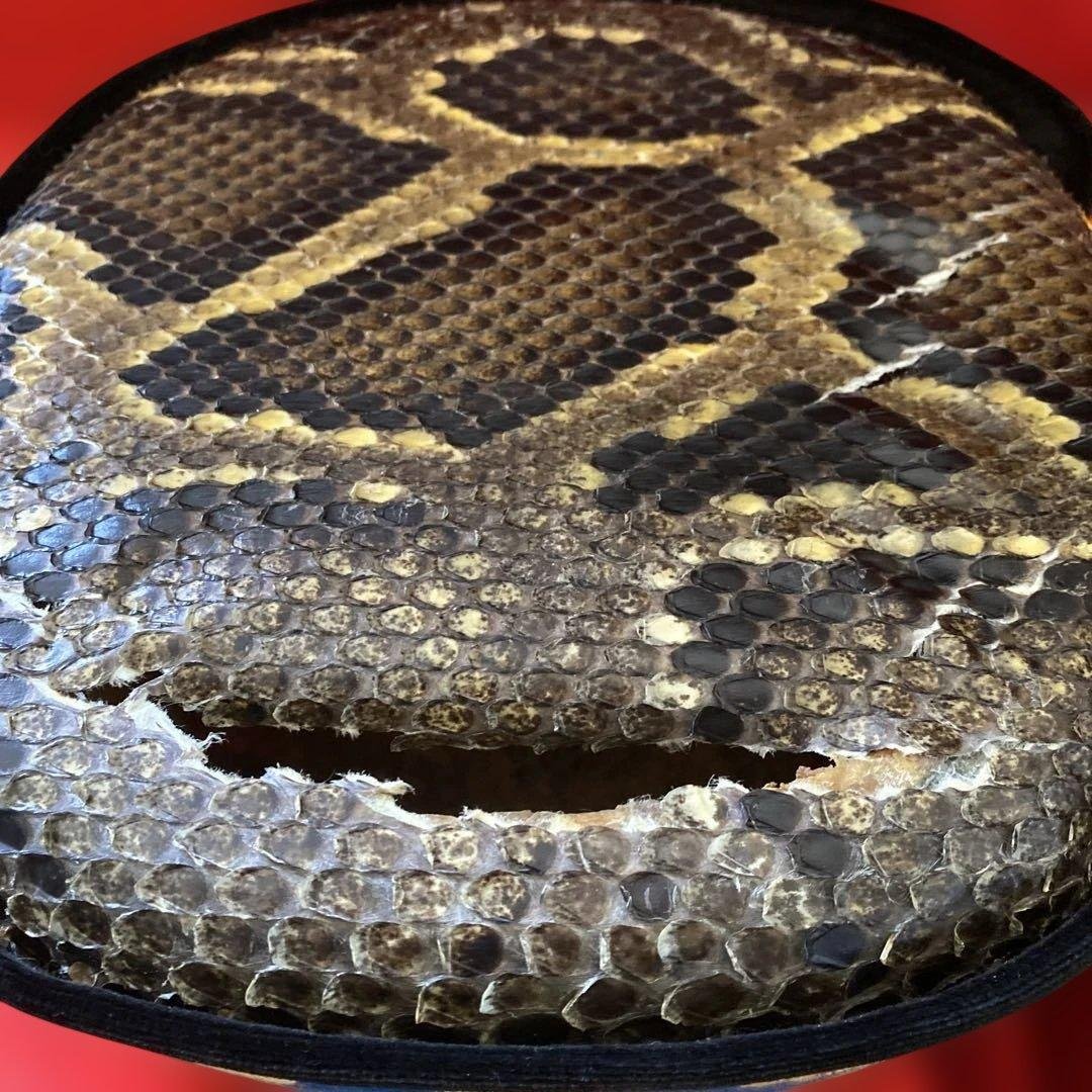 三線 蛇皮 ケース付き 破損あり