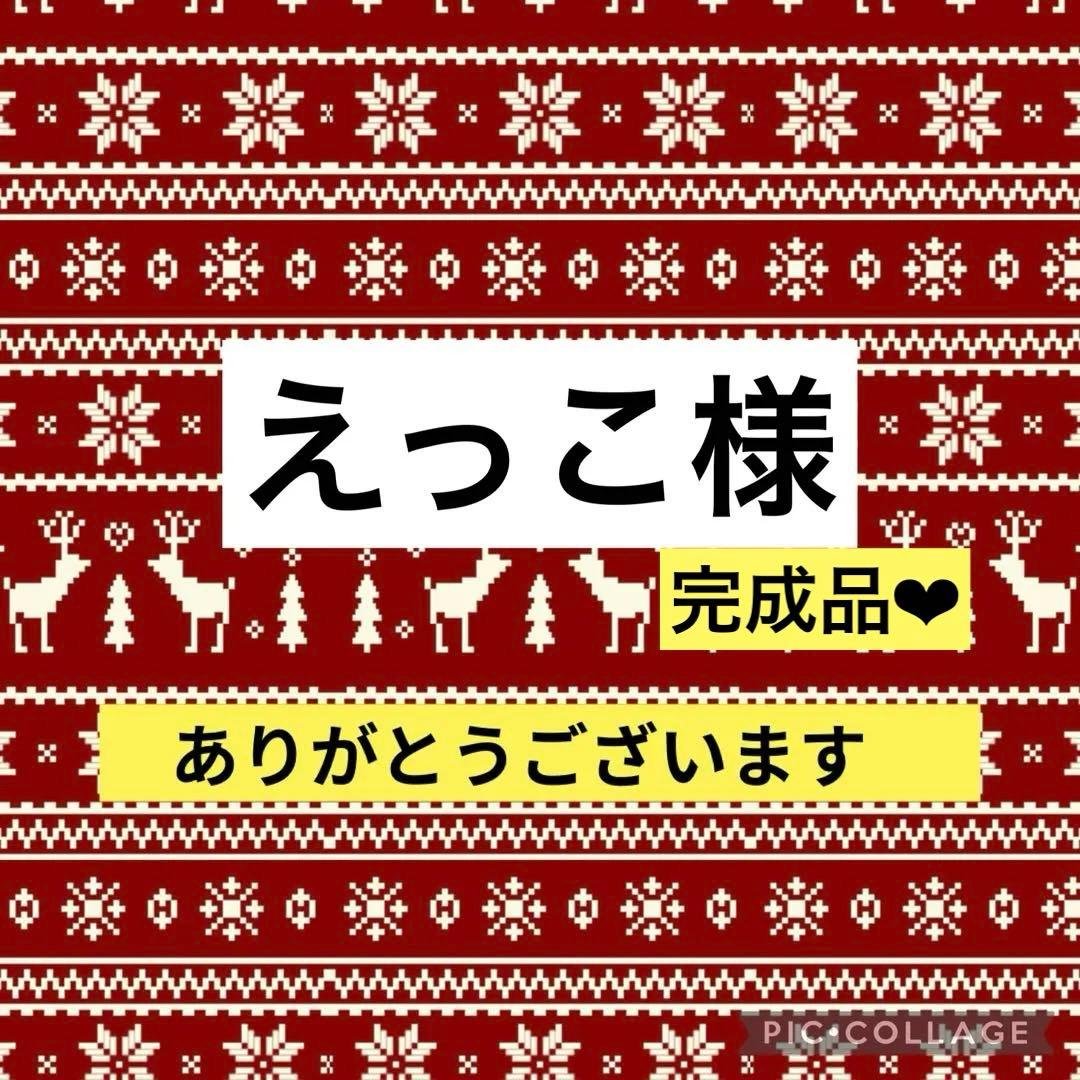 えっこ様　オーダー　ポーチ　巾着袋