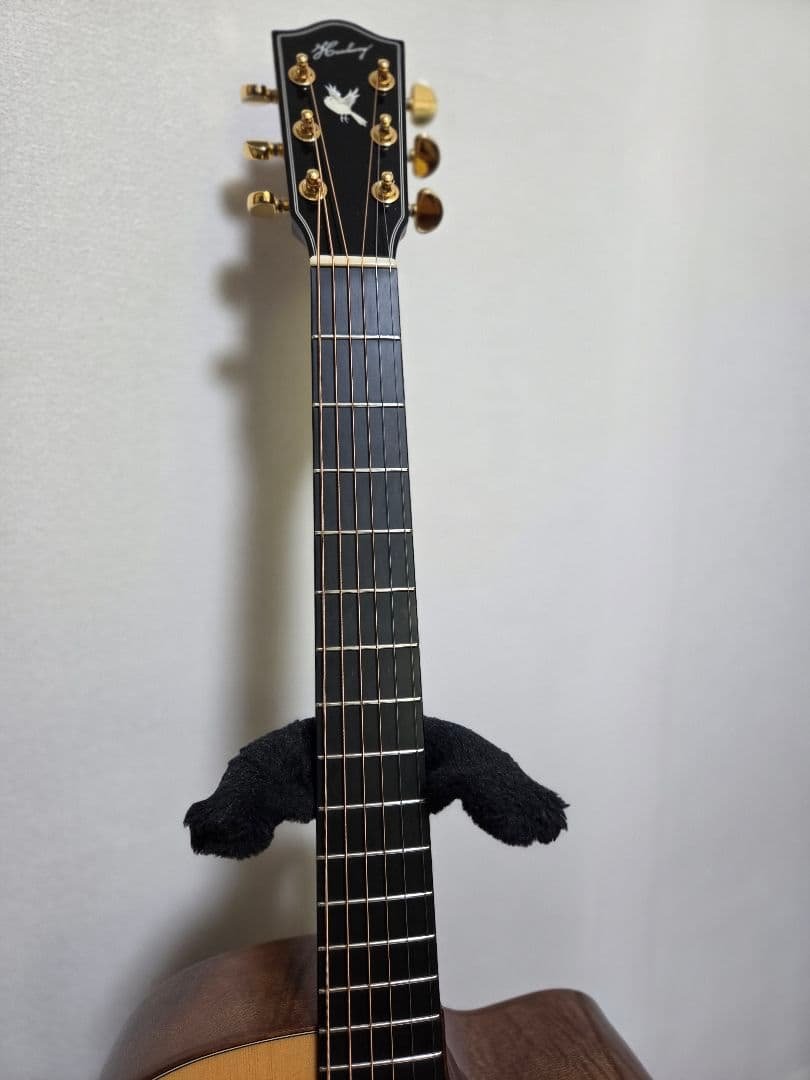 ギター Headway HOC-Northbard